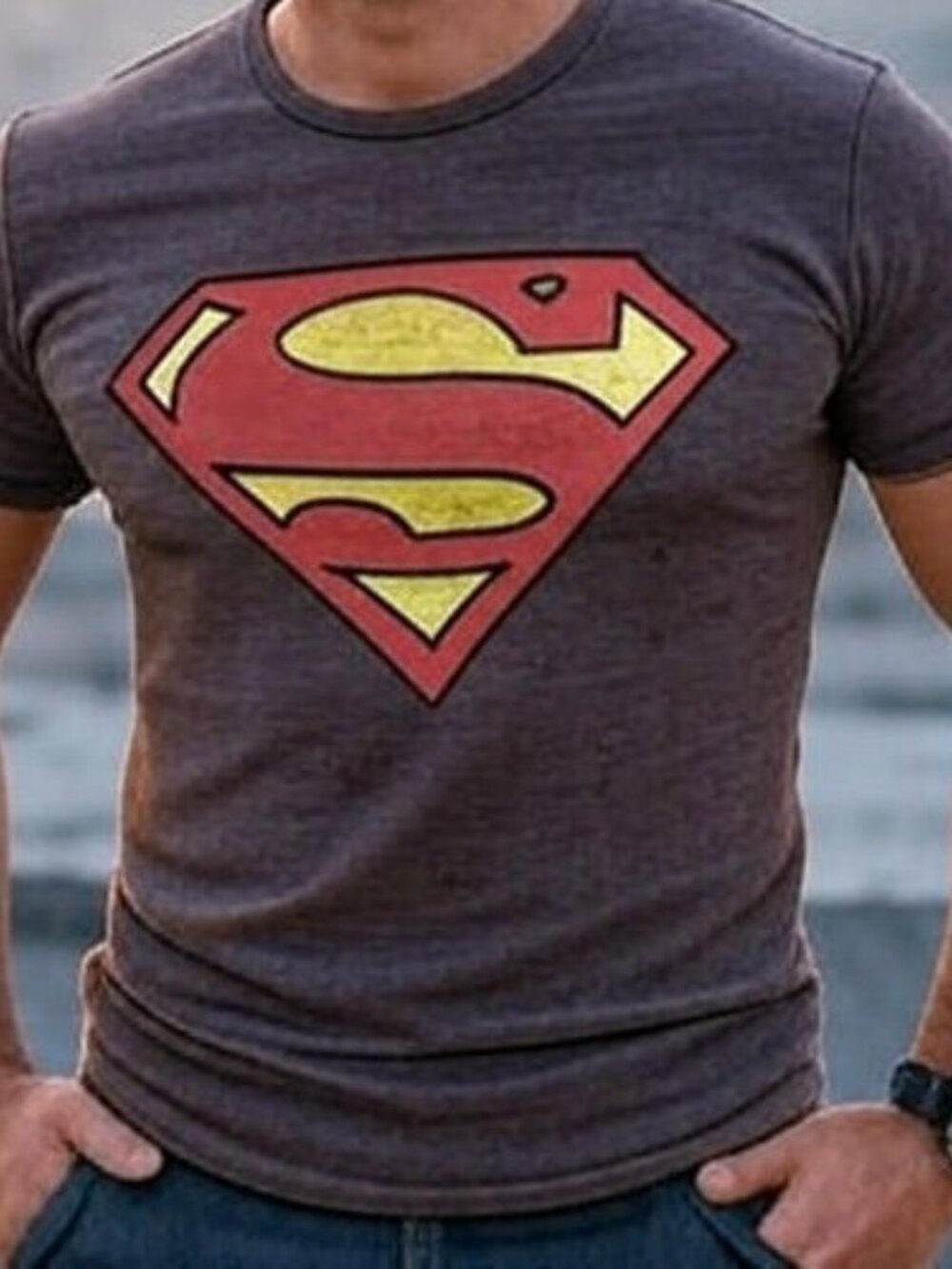 Mens DC Comics Superman Logo Size Medium Gray T-Shirt